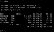 ב-1981 מיקרוסופט הוציאה לשווקים לראשונה את מערכת ההפעלה MS-DOS אשר הייתה למערכת ההפעלה השכיחה ביותר בעולם בשנות ה־80 ובמחצית הראשונה של ה־90.
