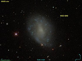 Image illustrative de l’article NGC 4242