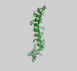 Glukoseabhängiges insulinotropes Peptid