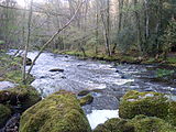 La rivière Ellé un peu en aval de l'abbaye de Langonnet.