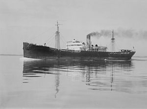 SS Golden Kauri