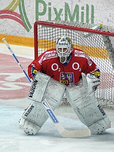 Tomáš Duba (7. února 2008)