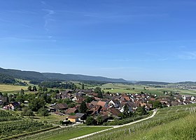 Wilchingen