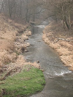 Bobrúvka v Bobrku (vesnice Bobrek, poblíž Těšína)