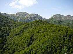 Parque Natural de Redes on biosfäärialue Asturiassa.