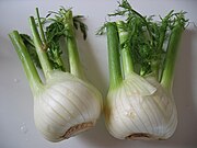 Florence fennel bulbs