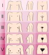 Tanner scale-female.svg