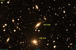 NGC 2229