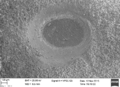 Ejemplar de la perforación de depredación Oichnus simplex incompleto en una concha de Nacella magellanica