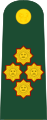 General de ejército (Peruvian Army)[20]