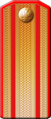 controspallina per polkovnik dell’Esercito imperiale russo until 1917