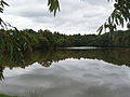 Le fond de l'étang de Beuvron.