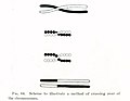 Illustration of chromosomes crossing over by Thomas Hunt Morgan