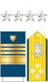 Distintivo per paramano dell'uniforme ordinaria invernale, controspallina estiva e fregio da colletto della USCG.