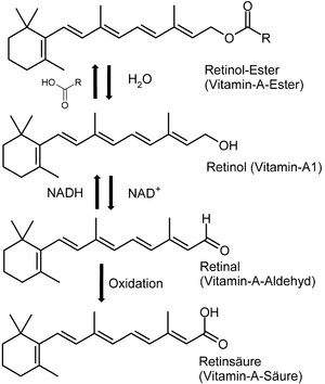 Vier Strukturformeln zur Synthese des Vitamin A