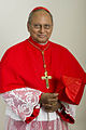 Il cardinale Albert Malcolm Ranjith Patabendige Don in abito corale indossa la croce pettorale con cordone