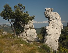 Montagne de la Loube, Var, France.