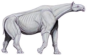 Reconstitution de Paraceratherium transouralicum (Paraceratheriidae[6]).