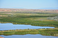 Pariette Wetlands