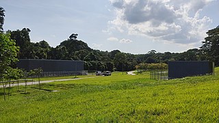 Bukit Brown MRT station