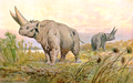 Arsinoitherium