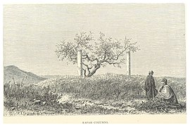 Les colonnes de Rafah, sur la route entre l'Égypte et la Syrie, en 1881.