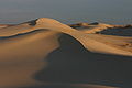 Sunrise at Monahans Sandhills, West Texas.