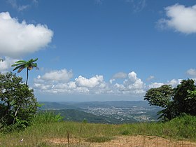 Caguas