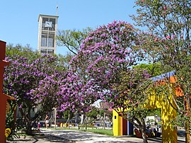 Centro de Sapiranga com a torre da Igreja Evangélica ao fundo