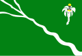 Bandeira de Belo Jardim