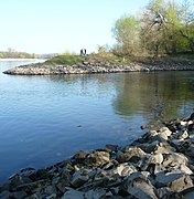 Rehbachmündung (von rechts) in den Rhein