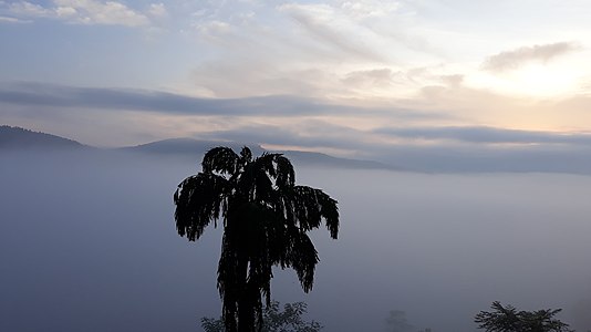 Լաբուգամա, Շրի Լանկա