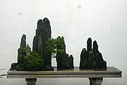 Shan shui penjing: een combinatie van rotsen, water en planten