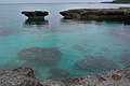 Estèu de coralh a Lifo