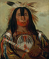 Buffalo Bull's Back Fat, Head Chief, of the Blood Tribe av George Catlin.