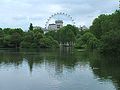 The London Eye from St. James's Park, beyond Horse Guards