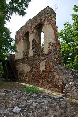 Vestiges de la paroi nord de l'ancien château de Žebrák.