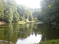 Der Karlsbergweiher im Sanddorfer Wald