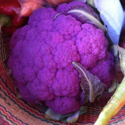 El color de esta coliflor y otros vegetales se produce por pigmentos antocianinas.