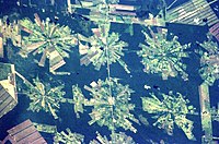 Ontbossing in het oosten van Bolivia (Observatiesatelliet)