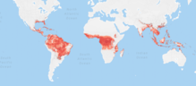 Thumbnail for File:Zika virus suitable enviroment map.png