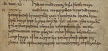Gros plan sur une page en parchemin présentant du texte écrit en minuscules à l'encre noire, précédé de l'indication d'une date en chiffres romains
