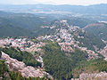 Sacred Sites and Pilgrimage Routes in the Kii Mountain Range