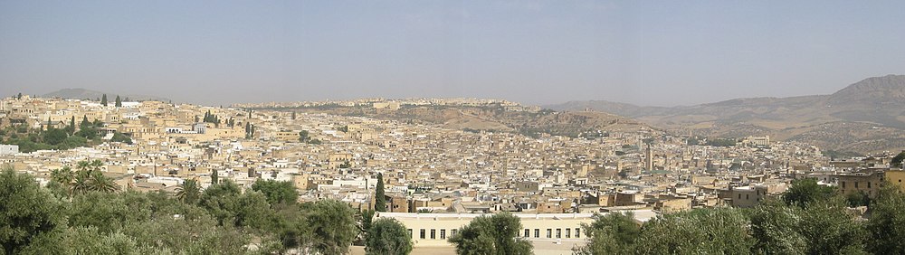 Vista panoramica de la medina de Fes