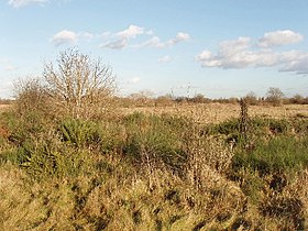 Image illustrative de l’article Hounslow Heath