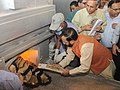 Incenerimento di prodotti illegali derivanti da attività bracconiere (Parco Zoologico Nazionale di New Delhi, 2014)