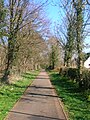 The old farm lane running down to the Annick Water