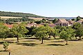 Vue du village de Culey.