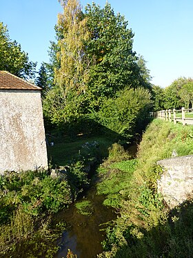 Image illustrative de l’article Blanche (Loire-Atlantique)