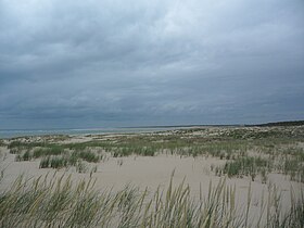 La pointe Espagnole et l'île d'Oléron.